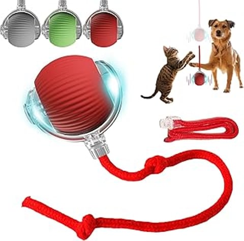 A red and green ball with a red rope attached.