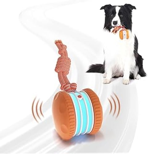 A dog toy with a rope on it.