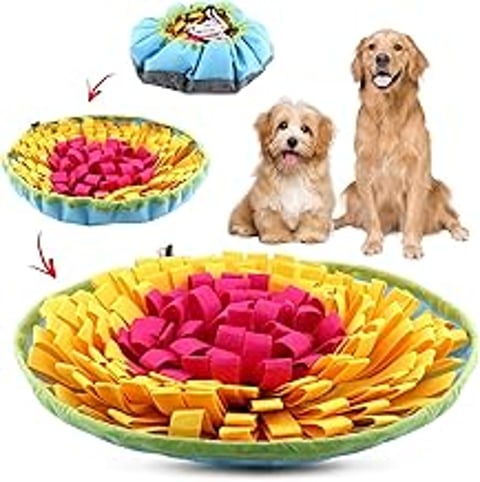 A dog and a cat are sitting on a Jianwei pet snuffle mat.