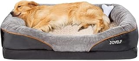 A dog is laying on a bed.