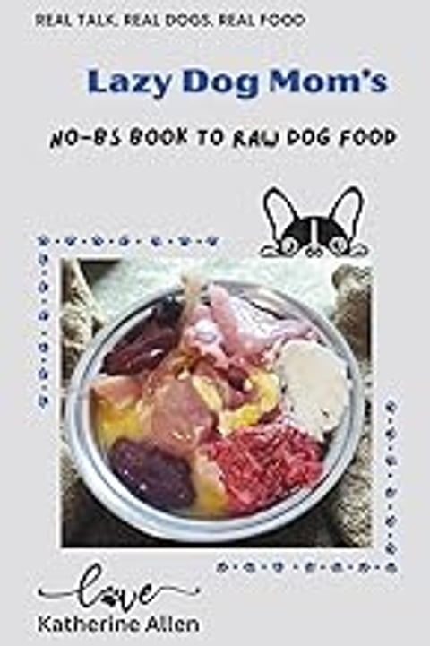 A bowl of food with a cat in the corner.