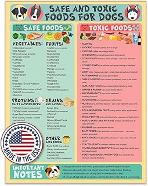 A poster showing the safe and toxic foods.