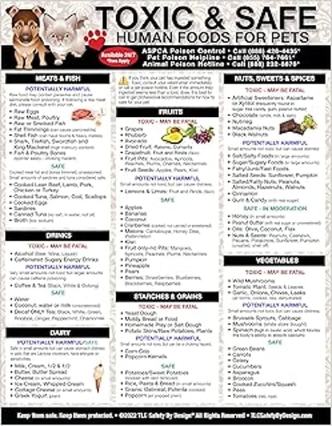 A list of toxic, safe, and harmful foods.