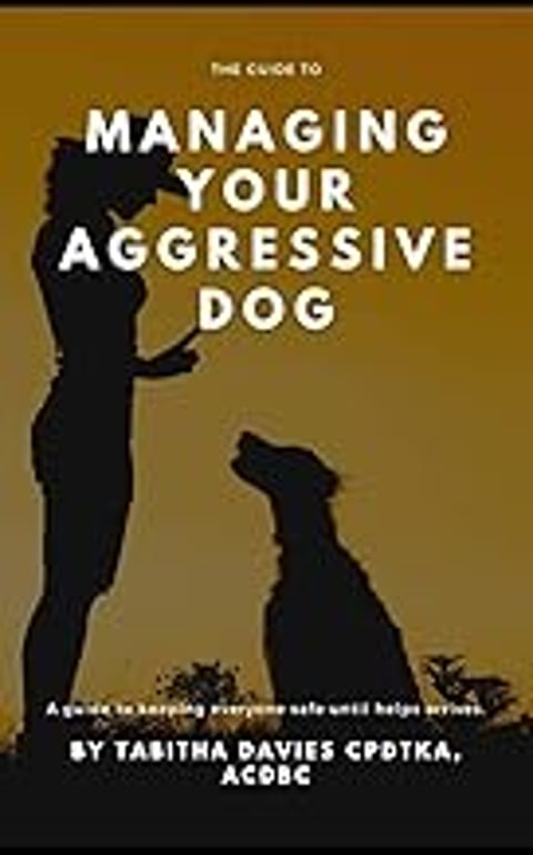 A woman is holding a dog on a leash.
