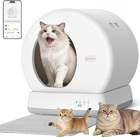 A cat is in a self-cleaning litter box.
