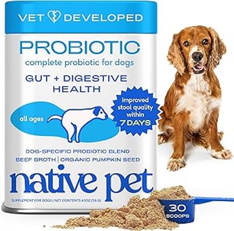 A dog is sitting next to a can of Native Pet Probiotics for Dogs.