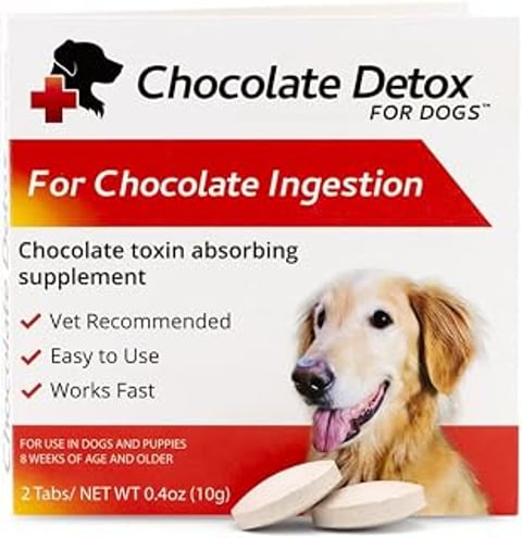 A dog is shown with a Chocolate Detox for Dogs box.