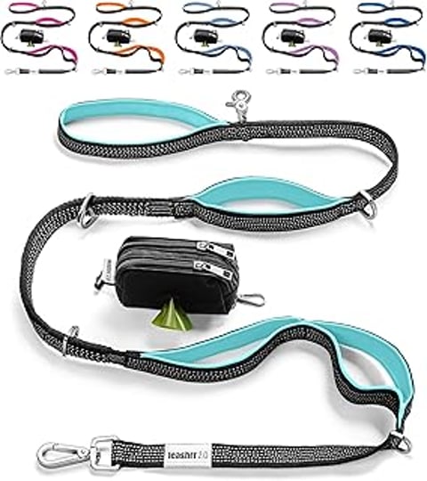 A black and blue leash for a dog.