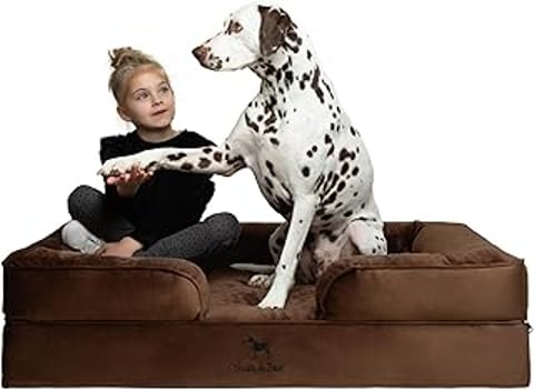 A girl sitting on a dog bed with a Dalmatian dog.