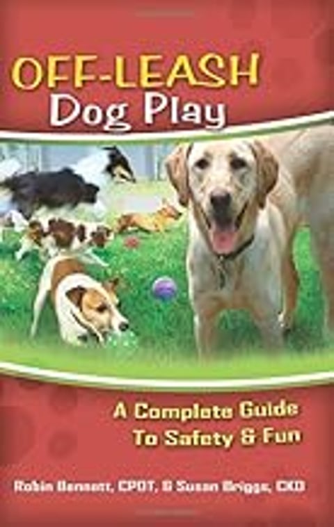 A dog playing with a ball.