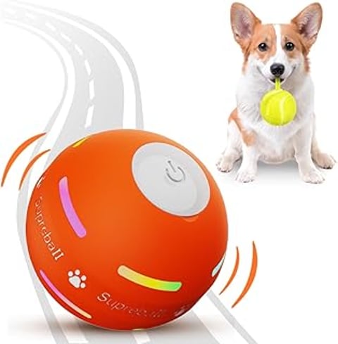 A dog ball with a motion activated feature.