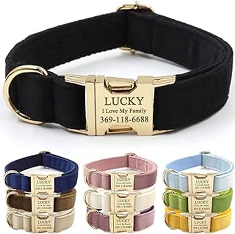 A black collar with the word lucky on it.