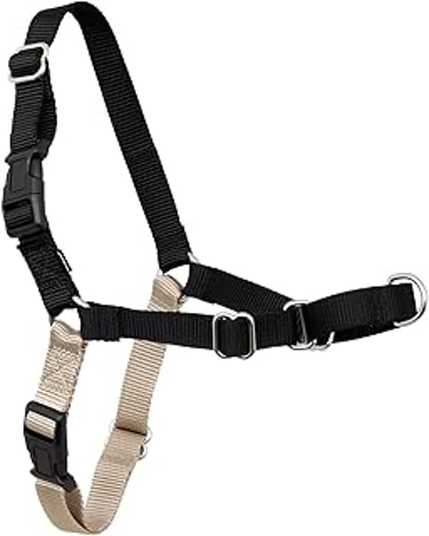 A black and grey harness for dogs.