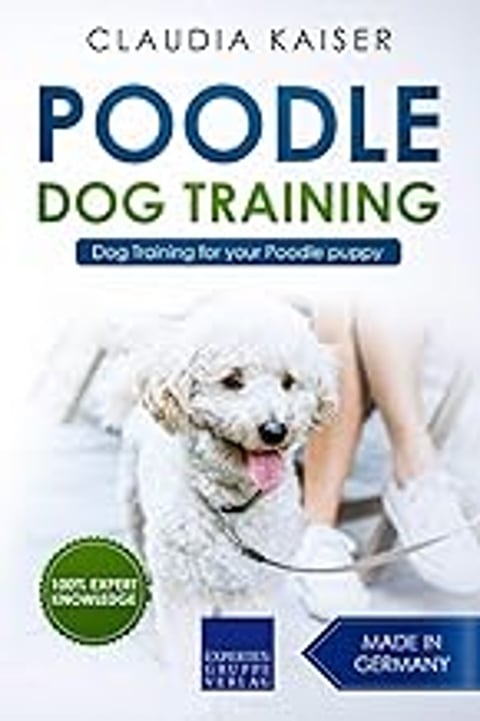 A white poodle with a pink tongue.