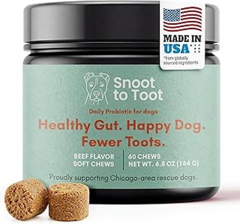 A jar of Snout to Toot probiotics for dogs.