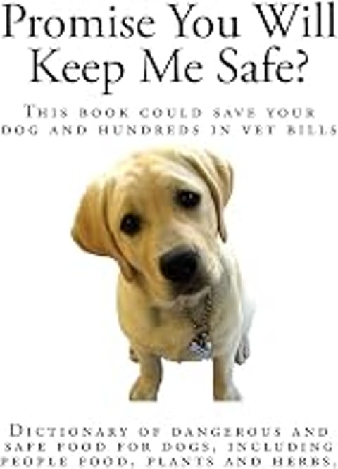 A dog with a collar that says "keep me safe".