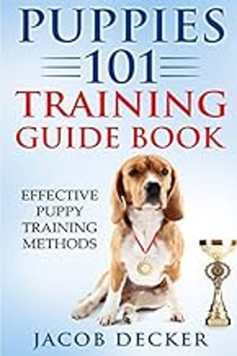 A dog is wearing a gold medal and is sitting in front of a book.