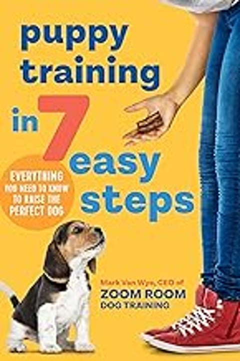 A dog is looking up at a person holding a treat.