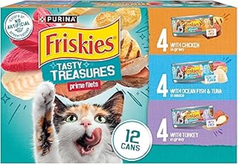A box of Friskies Tasty Treasures cat food.
