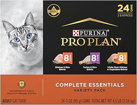 A cat is sitting in front of a Purina Pro Plan Gravy, High Protein food.