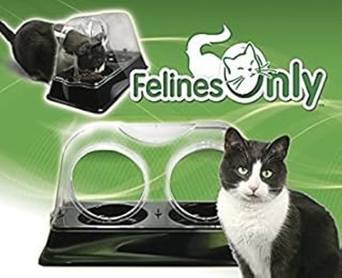 A cat dish with a black and white cat inside.