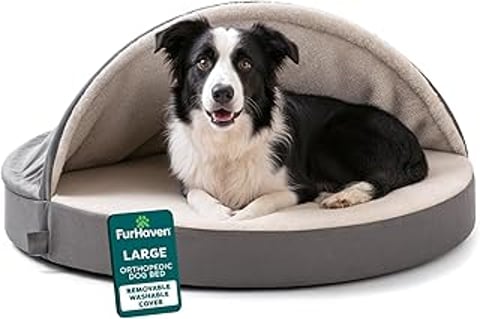 A black and white dog is laying on a round orthopedic dog bed.