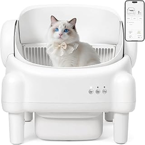 A cat is sitting in a white litter box.