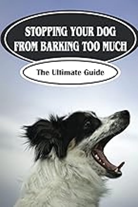 A black and white dog with its mouth open.