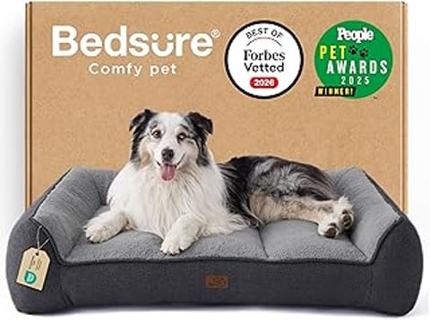 A dog is laying on a bed.