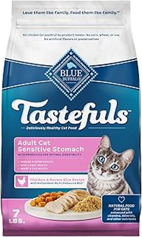A cat food bag with a cat on the front.