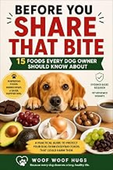 A dog is looking at a table full of food.