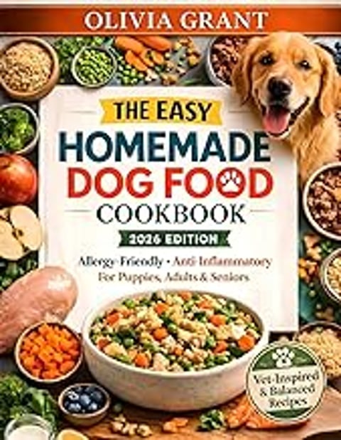A dog is smiling and sitting in front of a bowl of food.