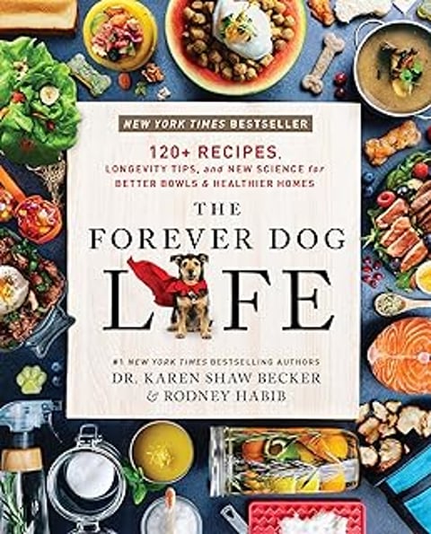 A book called The Forever Dog Life.