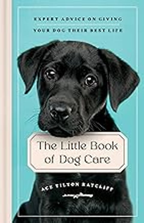 A black dog with a book in its mouth.