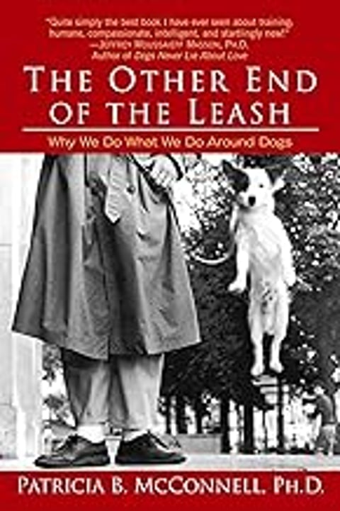 A man holding a leash with a dog on the other end.