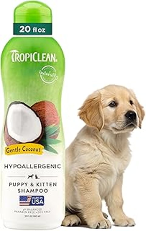 A dog is sitting next to a bottle of TropiClean Gentle Puppy Shampoo.