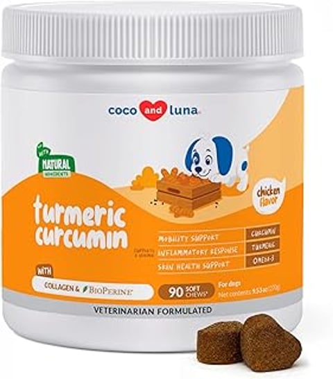 A jar of turmeric for dogs.