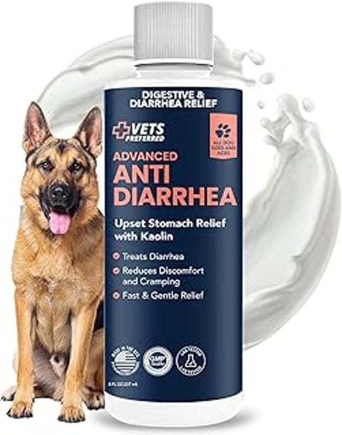 A dog is sitting in front of a bottle of Vets Preferred Anti Diarrhea & Gas.