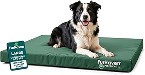 A black and white dog is sitting on a green water-resistant orthopedic dog bed.