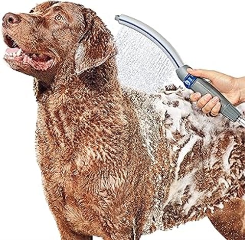 A dog is being sprayed with water using a waterpik pet wand.