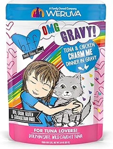 A cat is being held by a girl.