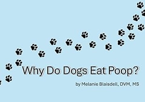 A book titled Why Do Dogs Eat Poop.