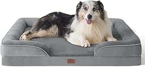A dog is laying on a dog bed.