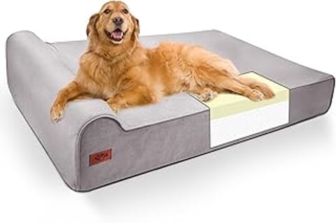 A dog is laying on a dog bed.