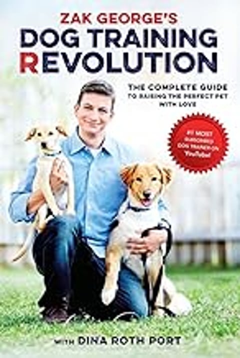 A man holding two dogs.